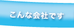 こんな会社です